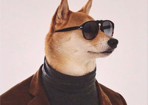 Meet your Posher, Stephen